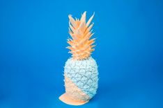 ananas.jpeg
