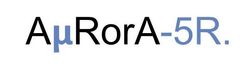 logo_aurora-5r.jpg
